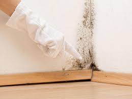 Meeker, OK Mold Removal Services Company